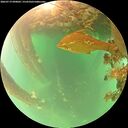 ./images/calvert/underwater/20260719/underwater20260719_090002M.jpg