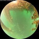 ./images/calvert/underwater/20260719/underwater20260719_090501M.jpg