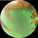 ./images/calvert/underwater/20260719/underwater20260719_091001M.jpg