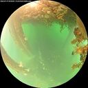./images/calvert/underwater/20260719/underwater20260719_092001M.jpg