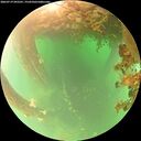 ./images/calvert/underwater/20260719/underwater20260719_092501M.jpg