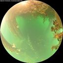 ./images/calvert/underwater/20260719/underwater20260719_093501M.jpg