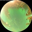 ./images/calvert/underwater/20260719/underwater20260719_094001M.jpg