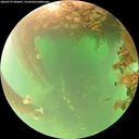 ./images/calvert/underwater/20260719/underwater20260719_095001M.jpg