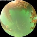 ./images/calvert/underwater/20260719/underwater20260719_095502M.jpg