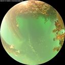 ./images/calvert/underwater/20260719/underwater20260719_100001M.jpg