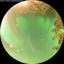 ./images/calvert/underwater/20260719/underwater20260719_100501M.jpg