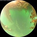 ./images/calvert/underwater/20260719/underwater20260719_101001M.jpg