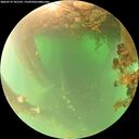 ./images/calvert/underwater/20260719/underwater20260719_101501M.jpg