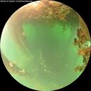 ./images/calvert/underwater/20260719/underwater20260719_103001M.jpg