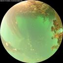 ./images/calvert/underwater/20260719/underwater20260719_104001M.jpg