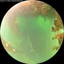 ./images/calvert/underwater/20260719/underwater20260719_114002M.jpg