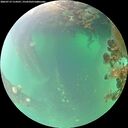 ./images/calvert/underwater/20260719/underwater20260719_114501M.jpg
