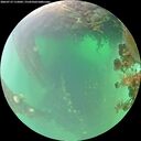 ./images/calvert/underwater/20260719/underwater20260719_115002M.jpg