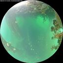 ./images/calvert/underwater/20260719/underwater20260719_115501M.jpg