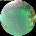 ./images/calvert/underwater/20260719/underwater20260719_120001M.jpg