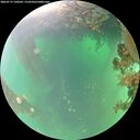 ./images/calvert/underwater/20260719/underwater20260719_120501M.jpg