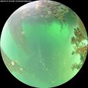 ./images/calvert/underwater/20260719/underwater20260719_121501M.jpg