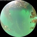 ./images/calvert/underwater/20260719/underwater20260719_122002M.jpg