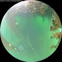 ./images/calvert/underwater/20260719/underwater20260719_122501M.jpg