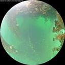 ./images/calvert/underwater/20260719/underwater20260719_123001M.jpg