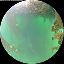 ./images/calvert/underwater/20260719/underwater20260719_123502M.jpg