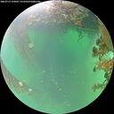 ./images/calvert/underwater/20260719/underwater20260719_124002M.jpg