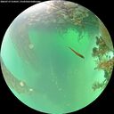 ./images/calvert/underwater/20260719/underwater20260719_124501M.jpg