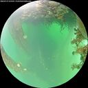 ./images/calvert/underwater/20260719/underwater20260719_125501M.jpg