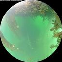 ./images/calvert/underwater/20260719/underwater20260719_130001M.jpg