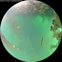 ./images/calvert/underwater/20260719/underwater20260719_130501M.jpg
