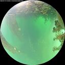 ./images/calvert/underwater/20260719/underwater20260719_131001M.jpg