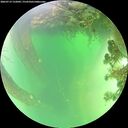 ./images/calvert/underwater/20260719/underwater20260719_132002M.jpg