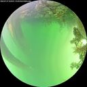 ./images/calvert/underwater/20260719/underwater20260719_144501M.jpg