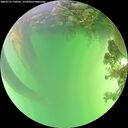./images/calvert/underwater/20260719/underwater20260719_150501M.jpg