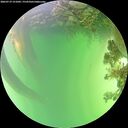 ./images/calvert/underwater/20260719/underwater20260719_151001M.jpg