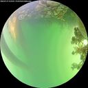 ./images/calvert/underwater/20260719/underwater20260719_152502M.jpg