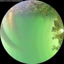 ./images/calvert/underwater/20260719/underwater20260719_153501M.jpg