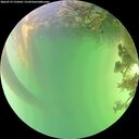 ./images/calvert/underwater/20260719/underwater20260719_154501M.jpg