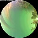 ./images/calvert/underwater/20260719/underwater20260719_161001M.jpg