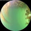 ./images/calvert/underwater/20260719/underwater20260719_161501M.jpg