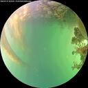 ./images/calvert/underwater/20260719/underwater20260719_162501M.jpg