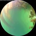 ./images/calvert/underwater/20260719/underwater20260719_165501M.jpg