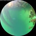 ./images/calvert/underwater/20260719/underwater20260719_172002M.jpg