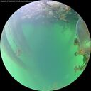 ./images/calvert/underwater/20260719/underwater20260719_180501M.jpg
