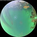 ./images/calvert/underwater/20260719/underwater20260719_181001M.jpg
