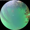 ./images/calvert/underwater/20260719/underwater20260719_181501M.jpg