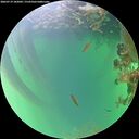 ./images/calvert/underwater/20260719/underwater20260719_182001M.jpg