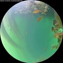./images/calvert/underwater/20260719/underwater20260719_185501M.jpg