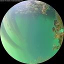 ./images/calvert/underwater/20260719/underwater20260719_190501M.jpg